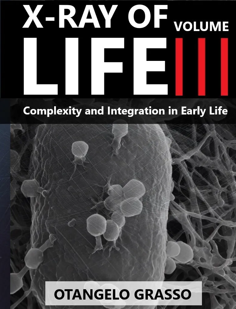 Cover of X-ray of Life, Volume III